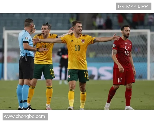 广州篮球队在欧锦赛中的默契配合与战术执行分析