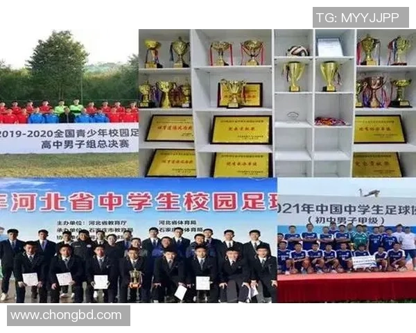 武汉羽毛球队勇闯世界锦标赛的辉煌历程与未来展望